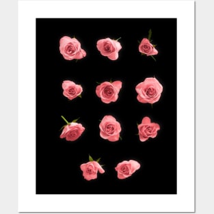 Roses Posters and Art